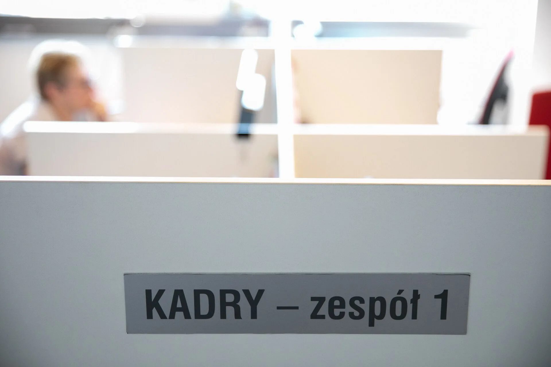 Poland Eases Interpretation of Work Permits for Non-EU Staff Posted Abroad